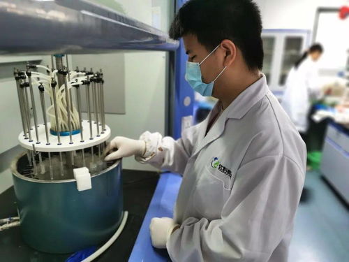 临安区市场监管局打造“透明快检”工程 科技赋能守护舌尖安全